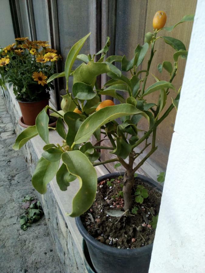 Casa Vacanze Terme Terme Vigliatore Buitenkant foto