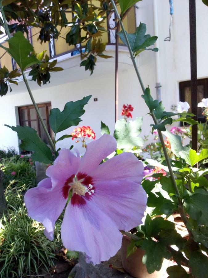 Casa Vacanze Terme Terme Vigliatore Buitenkant foto