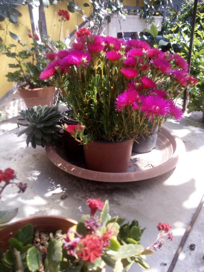 Casa Vacanze Terme Terme Vigliatore Buitenkant foto