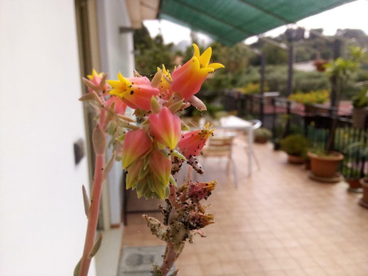 Casa Vacanze Terme Terme Vigliatore Buitenkant foto